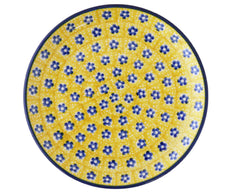 6" Plate