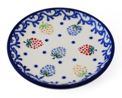 Mini Plate