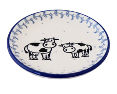 Mini Plate