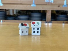 CLEARANCE Salt & Pepper House Set