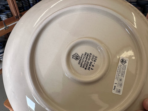 CLEARANCE 10" Dinner Plate